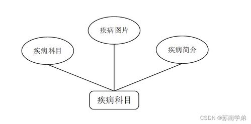基于SpringBoot的社區(qū)醫(yī)療服務(wù)管理系統(tǒng)設(shè)計(jì)與實(shí)現(xiàn)